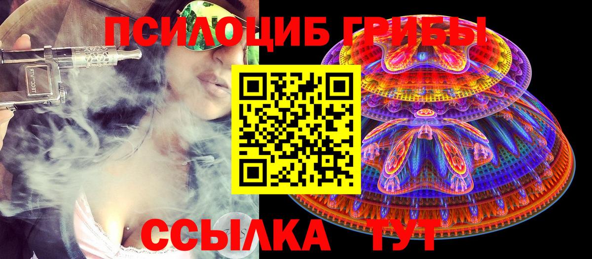 Сокол  Галлюциногенные грибы Magic Shrooms  Вход с VPN  Псилоцибиновые грибы мицелий 
