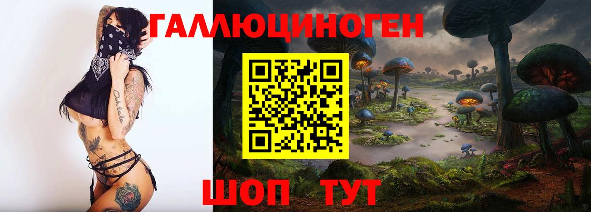 Псилоцибиновые грибы MAGIC MUSHROOMS Сокол